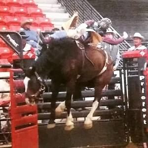 Meet your Posher, Myron